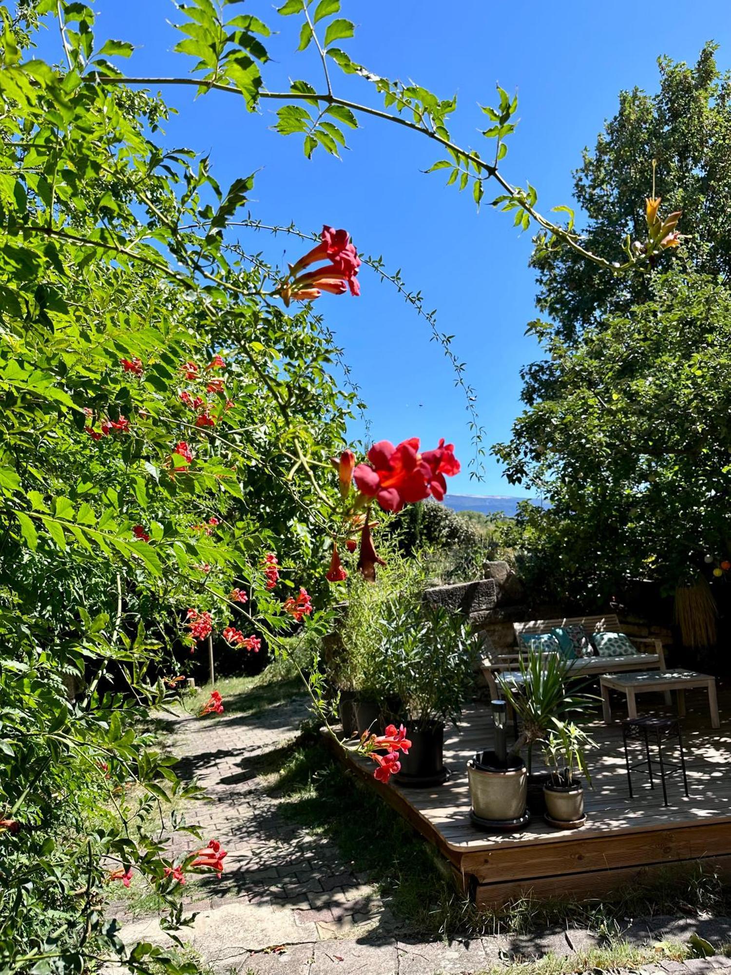 Moulin D'Antelon B&B Crillon-le-Brave Zewnętrze zdjęcie